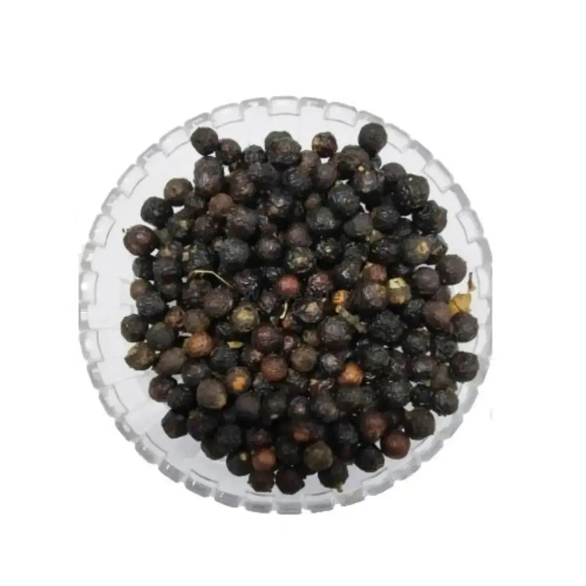 Aaloo Baloo Vaalo - Sour Cherry - Prunus Cerasus | TheWholesalerX