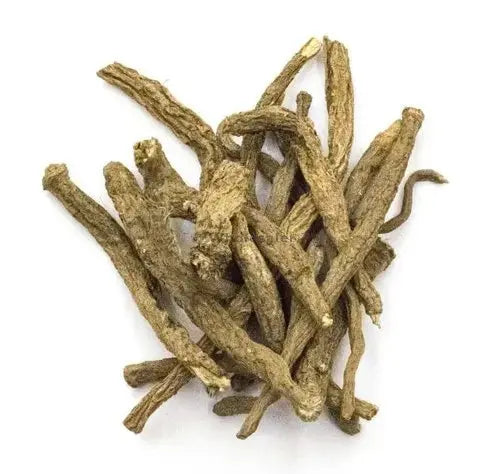 Akarkara Irani - Akarkara Asli - Anacyclus Pyrethrum - Pellitory Root | TheWholesalerX |