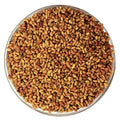 TheWholesalerX-Alfalfa Seed - Hedge Lucerne Seeds - Medicago sativa