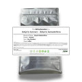 Amyris Extract - Amyris balsamifera Bulk Supplier@TheWholesaleCo Prices