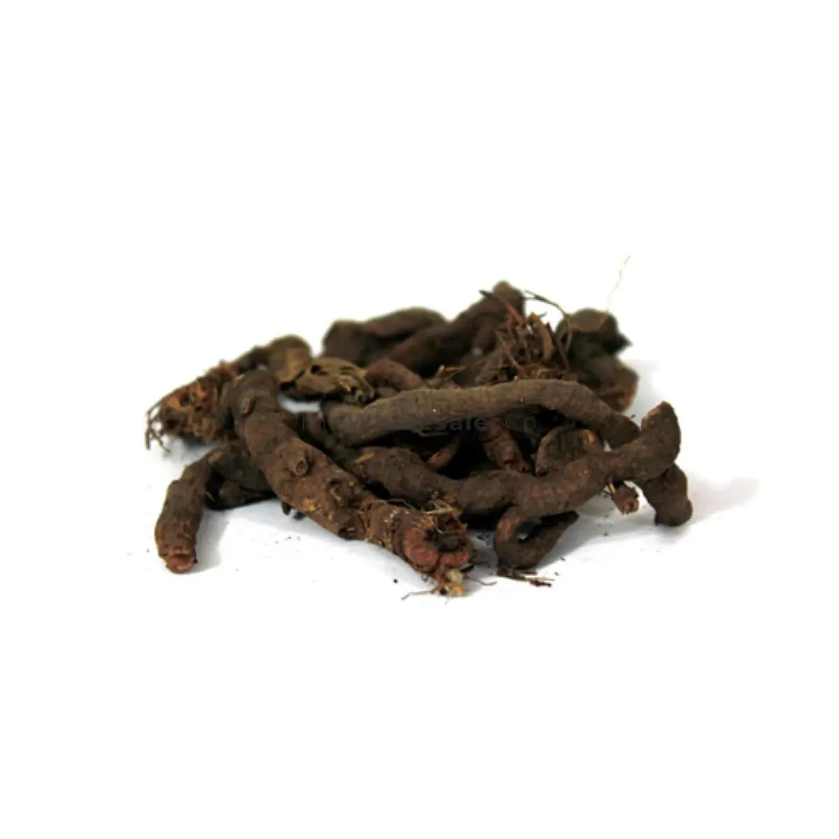Anjbar - Anjwar - Polygonum Viviparum | TheWholesalerX