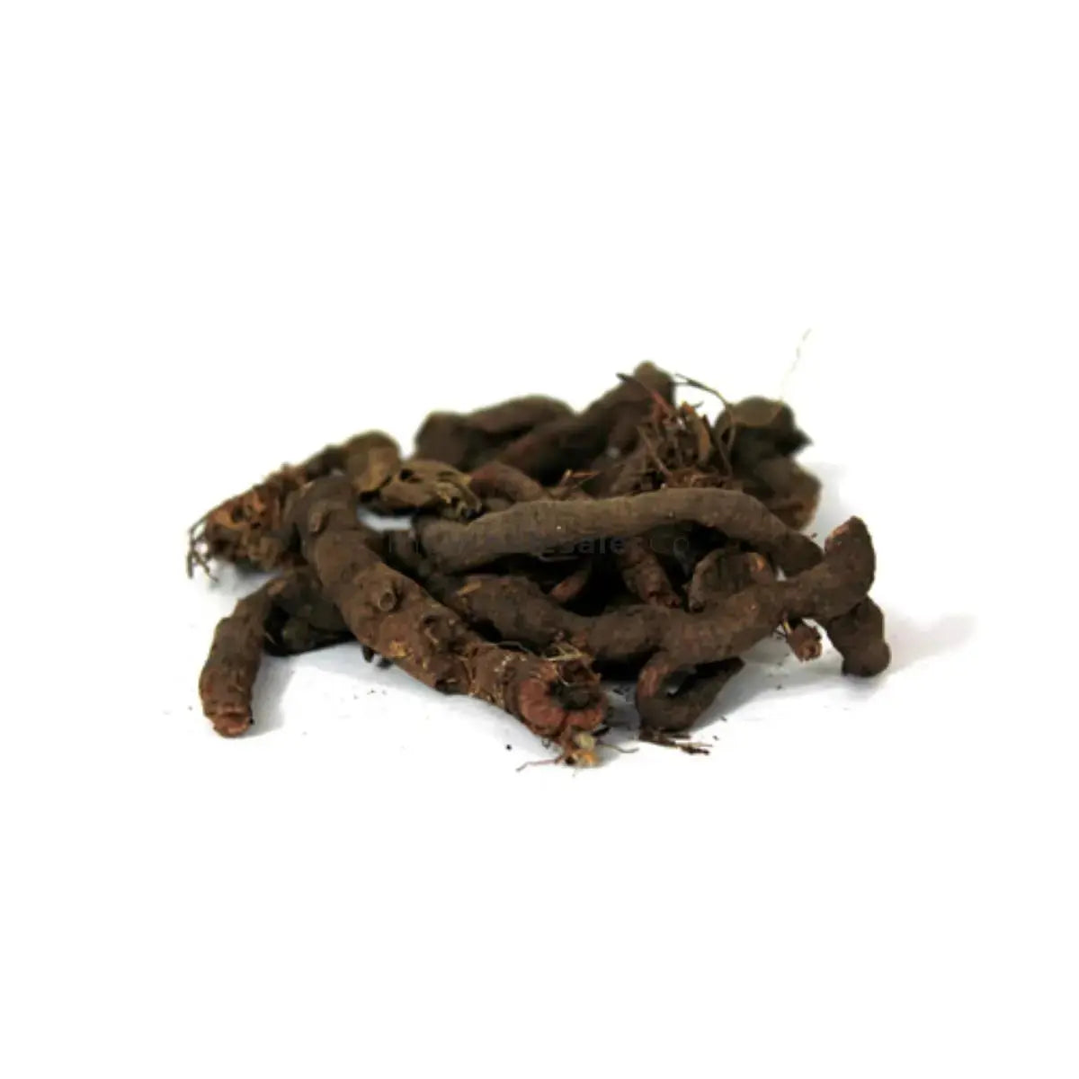Anjbar - Anjwar - Polygonum Viviparum | TheWholesalerX
