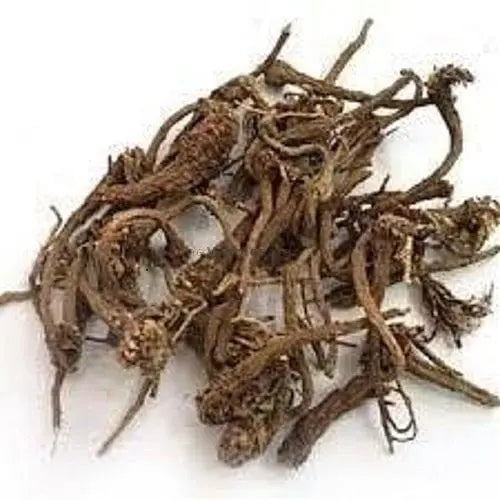 Arand Mool - Castor Root - Arandi Jadd - Erand Mool - Ricinus Communes | TheWholesalerX |