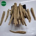 AshwagandhaRoot-Asgandh-WithaniaSomnifera-Indianginseng-TheWholesalerX