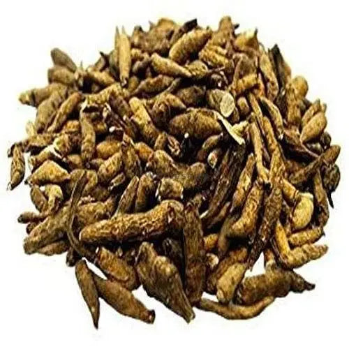 Atish Kadwi - Ativisha Bitter - Atiwisha - Ateesh - Aconitum heterophyllum | TheWholesalerX