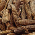 Atish Mithi - Ativisha Sweet - Atiwisha - Ateesh - Aconitum palmatum | TheWholesalerX