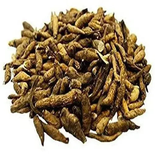 Atish Kadwi - Ativisha Bitter - Atiwisha - Ateesh - Aconitum heterophyllum | TheWholesalerX