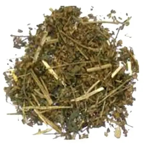 Badranj Boya - Billilotan - Catnip - Nepeta Hindostana | TheWholesalerX