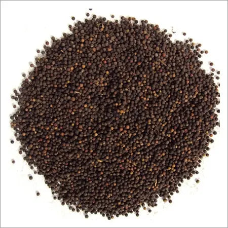 Baibadang - Vaivadang Black - Vidanga - Vayuvilamgam - Embelia Ribes | TheWholesalerX