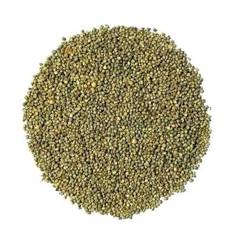 TheWholesalerX-Bajra - Pearl Millets - Sajjalu - Pennisetum glaucum