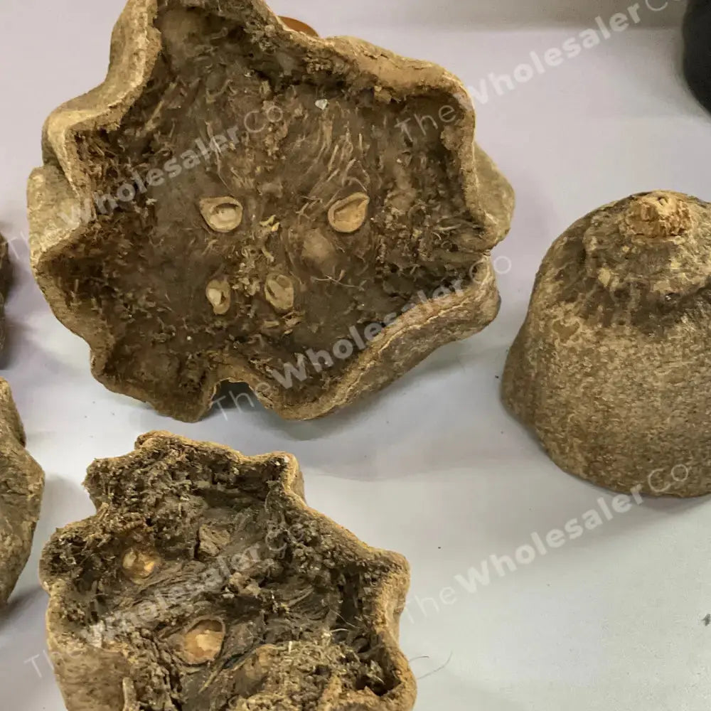 TheWholesalerX - Balam Kheera Phal (Dry) - Balam Khira Fruit - Kigelia Africana