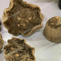 TheWholesalerX - Balam Kheera Phal (Dry) - Balam Khira Fruit - Kigelia Africana