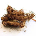 Beg karfas - Bhootkeshi – Selinum vaginatum Bulk Supplier@TheWholesaleCo Prices