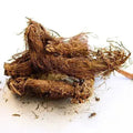 Beg karfas - Bhootkeshi – Selinum vaginatum Bulk Supplier@TheWholesaleCo Prices