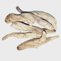 Behman safed root - Centaurea Behen Linn - White Behen | TheWholesalerX