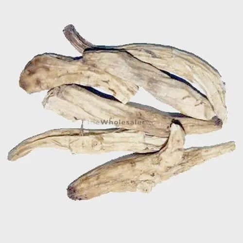 Behman safed root - Centaurea Behen Linn - White Behen | TheWholesalerX