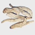 Behman safed root - Centaurea Behen Linn - White Behen | TheWholesalerX