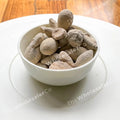 TheWholesalerX-BerPatthar-BerPathar-HajrulYahood-FossilEncrinite