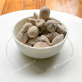 TheWholesalerX-BerPatthar-BerPathar-HajrulYahood-FossilEncrinite