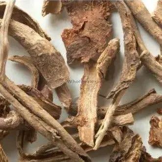 Bharangi - Bhadangi - Clerodendrum Serratum | TheWholesalerX |