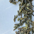 Bhikamali - Dikamali - Gardenia Gummifera - TheWholesalerX