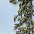 Bhikamali - Dikamali - Gardenia Gummifera - TheWholesalerX