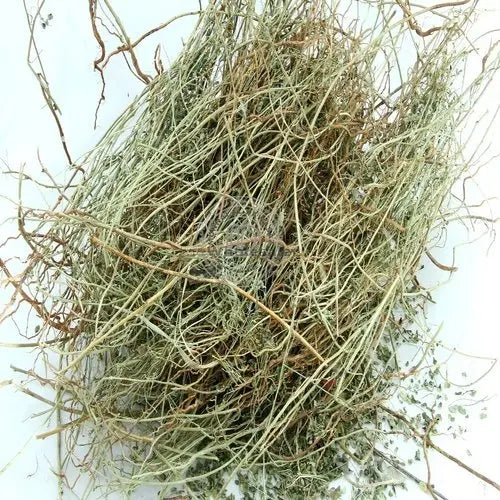 Bhumi Amla- Bhumi Aamla - Bhoomi Awla - Phyllanthus Niruri | TheWholesalerX