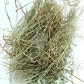 Bhumi Amla- Bhumi Aamla - Bhoomi Awla - Phyllanthus Niruri | TheWholesalerX