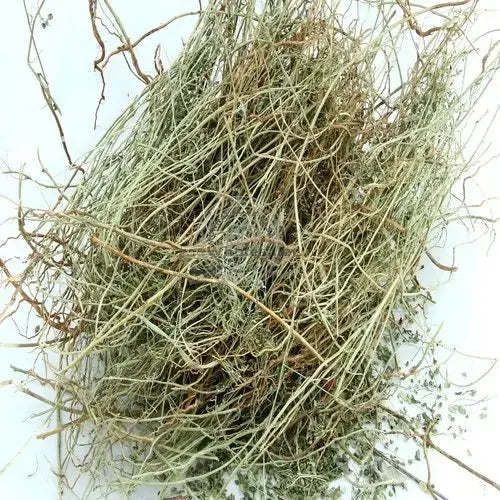 Bhumi Amla- Bhumi Aamla - Bhoomi Awla - Phyllanthus Niruri | TheWholesalerX