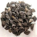 Bichhu Phal - Bicchu Fal - Biccho Phal - Kaknasa - Martynia Annua | TheWholesalerX