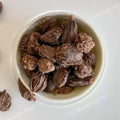 TheWholesalerX-Black Cardamom - Kali Ilayachi - Badi Elaichi - Amomum subulatum Roxb