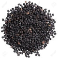 TheWholesalerX-Black Datura Seeds - Kala Dhatura Beej - Datura Stramonium - Thorn apple