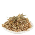 Braham Dandi - Satyanashi - Oont Katara - Camel's Thistle - Tricholepis angustifolia | TheWholesalerX