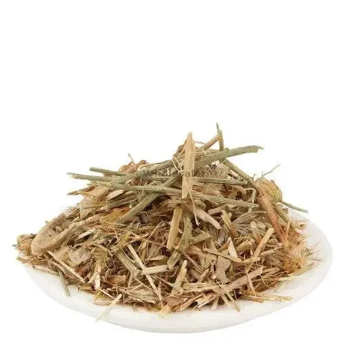 Braham Dandi - Satyanashi - Oont Katara - Camel's Thistle - Tricholepis angustifolia | TheWholesalerX