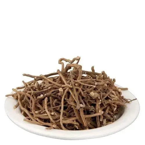 Chab - Chabya - Piper retrofractum | TheWholesalerX