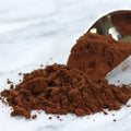 Chicory Powder - Cichorium intybus | TheWholesalerX