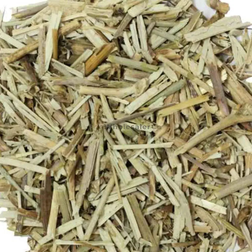 Kasni - Chicory - Cichorium intybus | TheWholesalerX