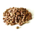 TheWholesalerX-Chironji - Cheronjee - Cuddapah almond - Buchanania cochinchinensis