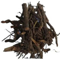 Chitrak Roots - Chita Mool - Chita Root - Chita Jadd - Plumbago Indica Root | TheWholesalerX