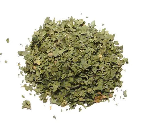 Coriander - Coriandrum sativum | TheWholesalerX
