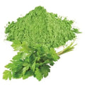 Coriander Leaves Powder-Coriandrum sativum- TheWholesalerX-exporter