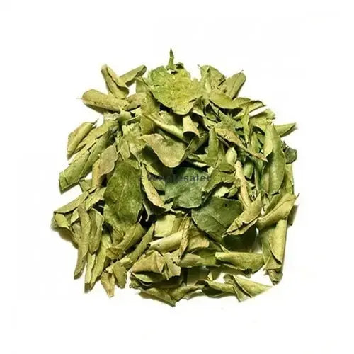 Curry Leaves - Kadi Patta - Kari Leaf - Meetha Neem - Murraya koenigii | TheWholesalerX