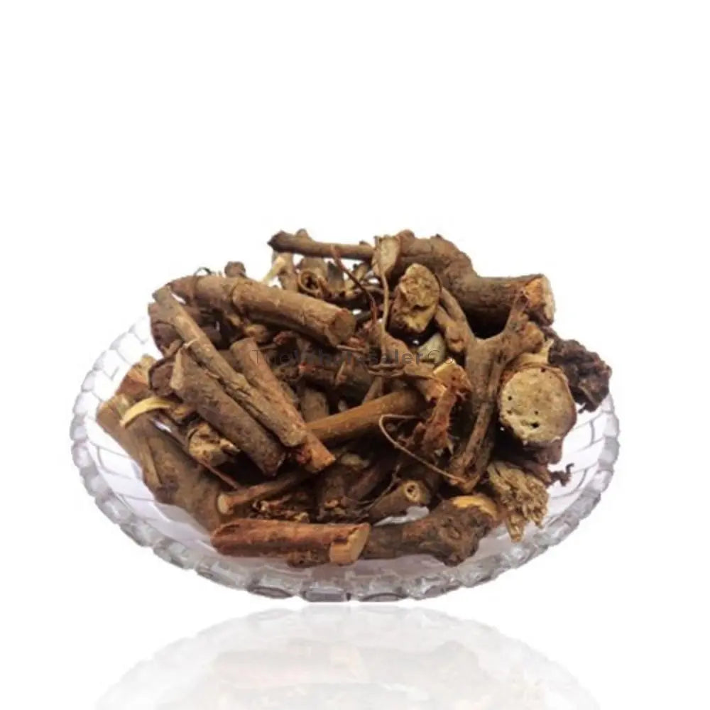 Dantimool - Danti Mool - Baliospermum Montanum | TheWholesalerX