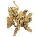 Darunaj - Doronicum hookeri - Leopard’s Bane - Akrabi | TheWholesalerX
