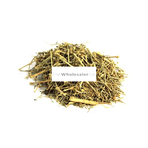 Dhamasa - Khorasan thorn - Desert Fagonia | TheWholesalerX
