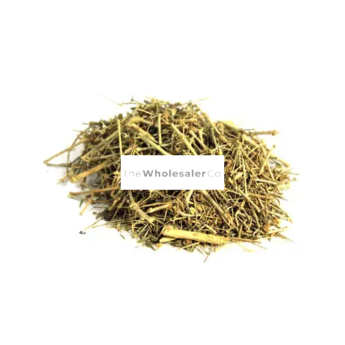 Dhamasa - Khorasan thorn - Desert Fagonia | TheWholesalerX