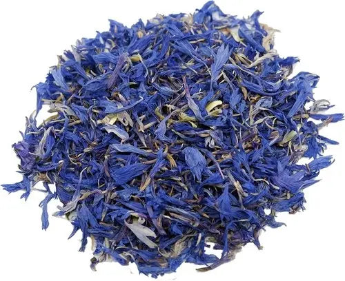 Dried Blue cornflower - Centaurea cyanus - Bachelor's button | TheWholesalerX |