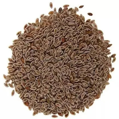TheWholesalerX-Edible Isabgol Seeds - Psyllium Seeds - Isab Gol Beej - Plantago ovata