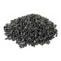 TheWholesalerX-Edible Onion Seeds - Beej Pyaj - Beej Pyaaz - Allium cepa