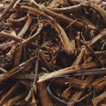 Gandh Prasarini - Skunk Vine - Paederia Foetida | TheWholesalerX